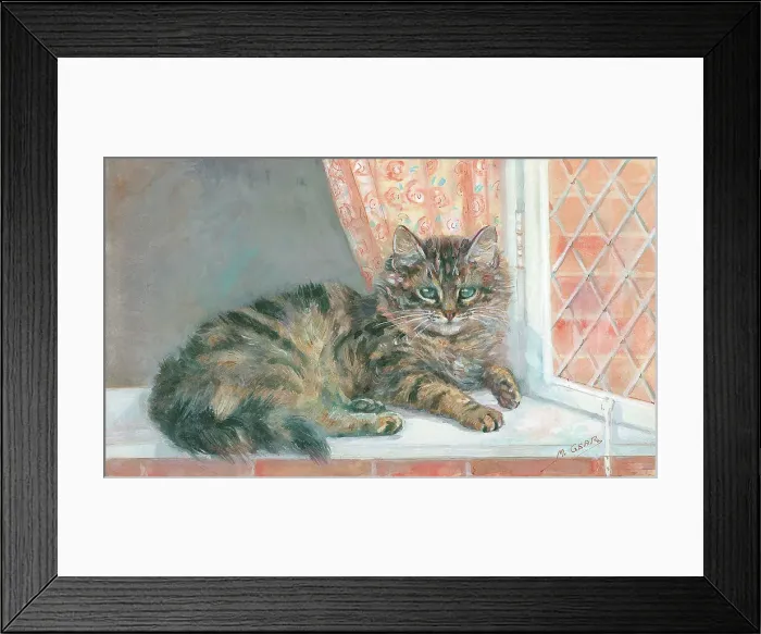 Framed Print : A Place in the Sun Framed Print : A Place in the Sun