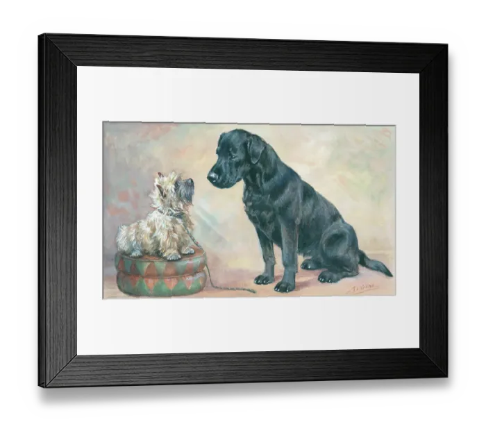 Framed Print : Friendly Relations Framed Print : Friendly Relations