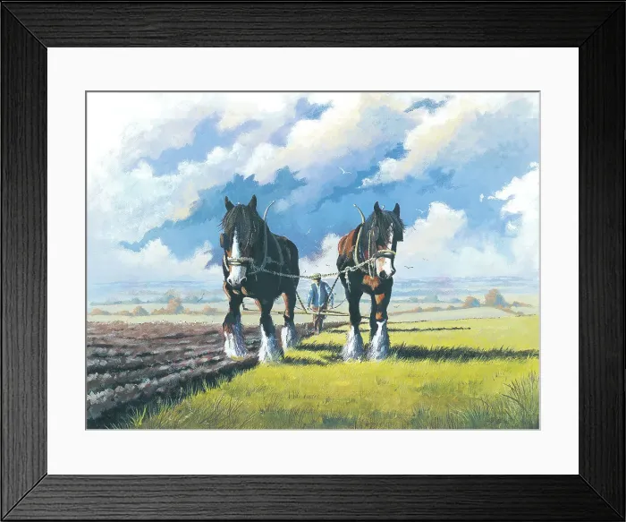 Framed Print : Plough team Framed Print : Plough team