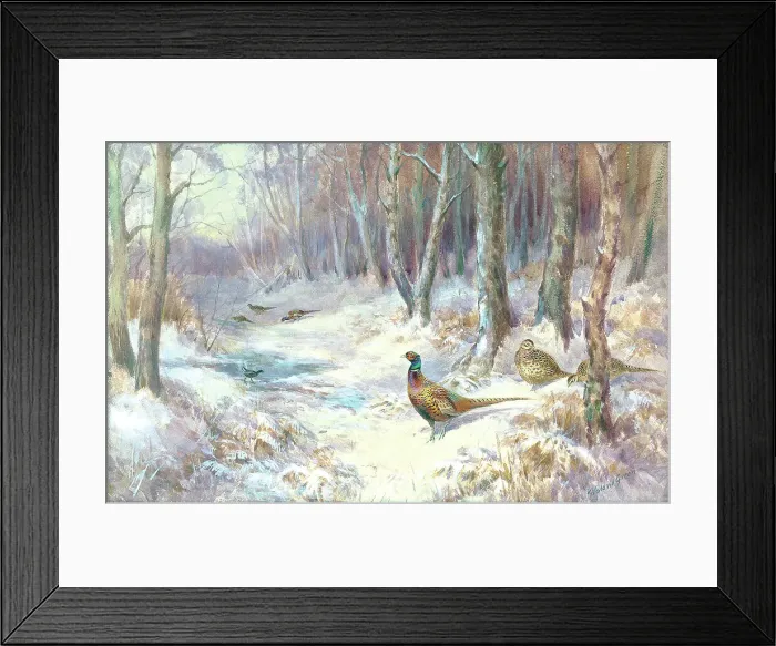 Framed Print : Pheasant in snow