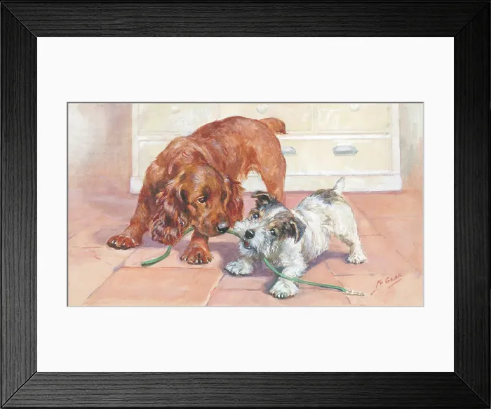 Framed Print : A Friendly Tussle Framed Print : A Friendly Tussle