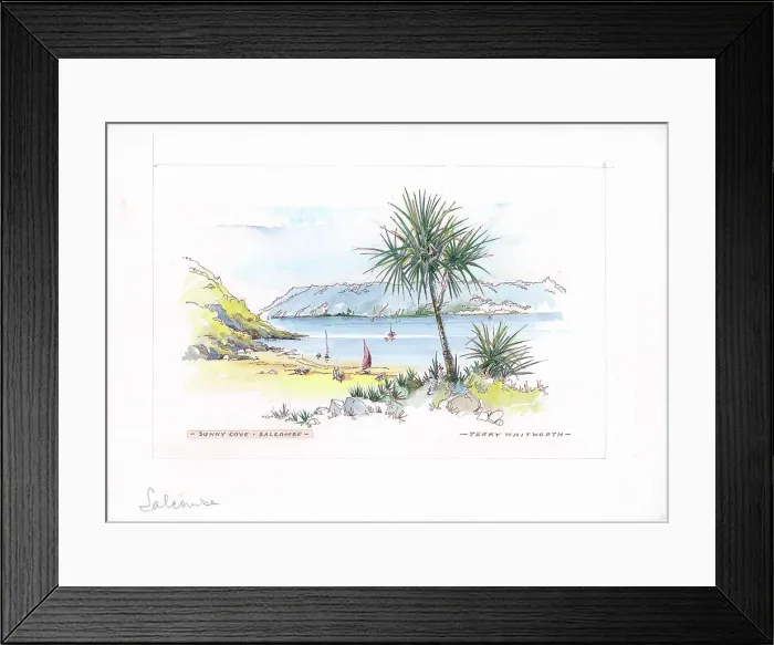 Framed Print : Sunny Cove, Salcombe Framed Print : Sunny Cove, Salcombe