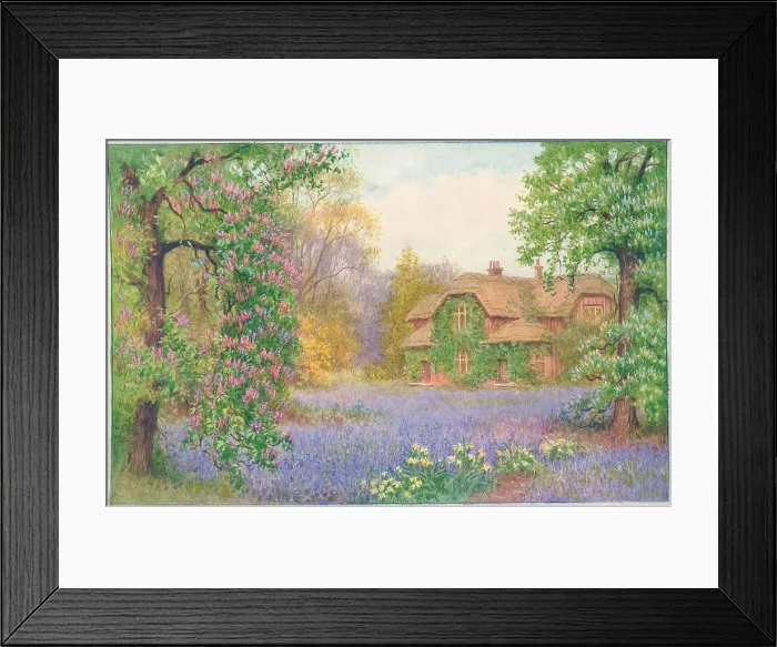 Framed Print : Bluebell Time Framed Print : Bluebell Time