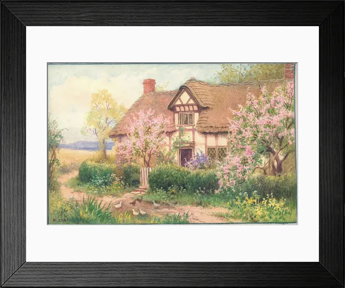 Framed Print : Blossom Time at Cropthorne, Worcestershire Framed Print : Blossom Time at Cropthorne, Worcestershire