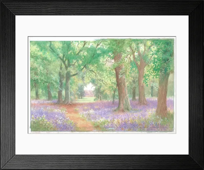 Framed Print : Bluebells, Kew Gardens Framed Print : Bluebells, Kew Gardens