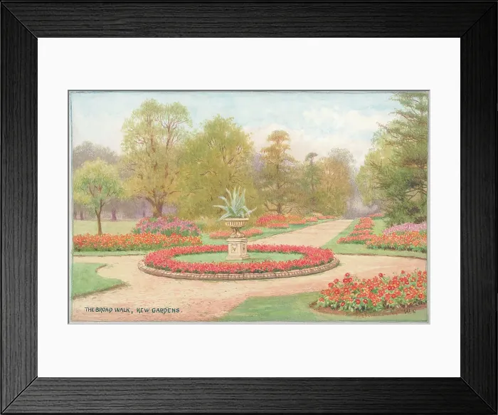 Framed Print : The Broad Walk, Kew Gardens Framed Print : The Broad Walk, Kew Gardens