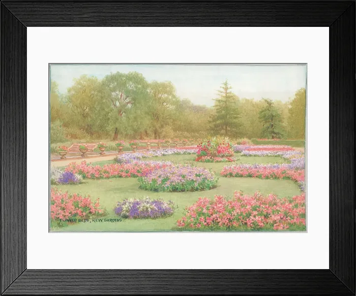 Framed Print : Flower Beds, Kew Gardens Framed Print : Flower Beds, Kew Gardens
