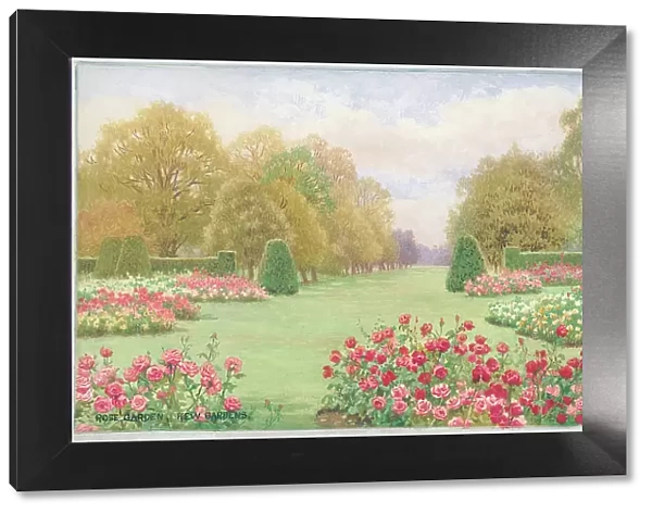 Rose Gardens, Kew Gardens