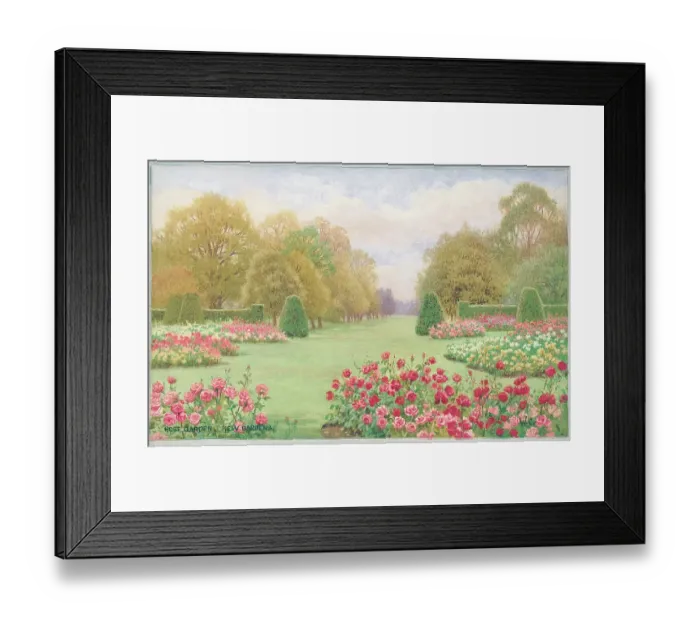 Framed Print : Rose Gardens, Kew Gardens Framed Print : Rose Gardens, Kew Gardens