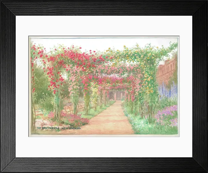 Framed Print : The Rose Pergola, Kew Gardens Framed Print : The Rose Pergola, Kew Gardens