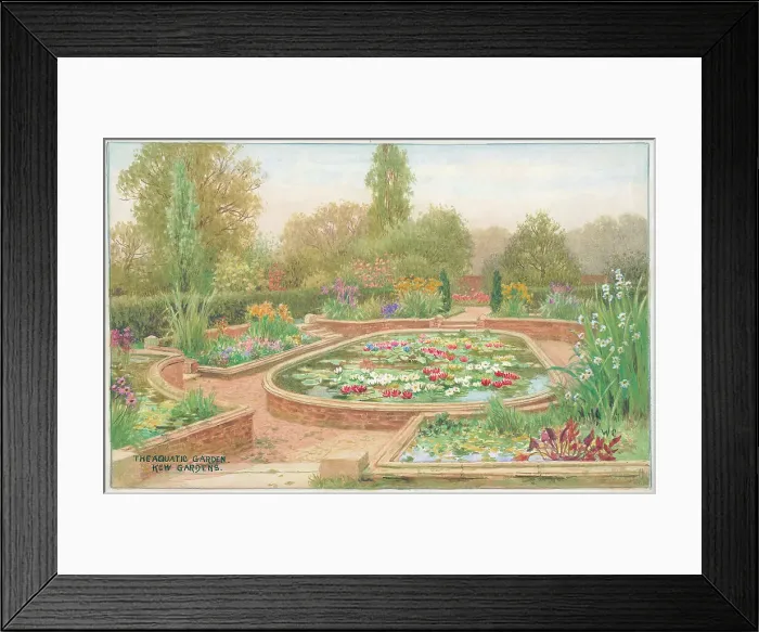 Framed Print : The Aquatic Garden, Kew Gardens Framed Print : The Aquatic Garden, Kew Gardens