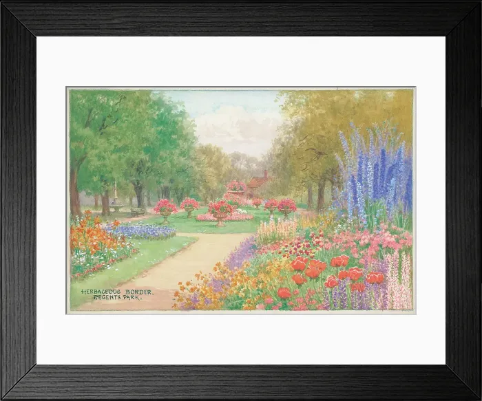 Framed Print : Herbaceous Border, Regents Park, London Parks Framed Print : Herbaceous Border, Regents Park, London Parks