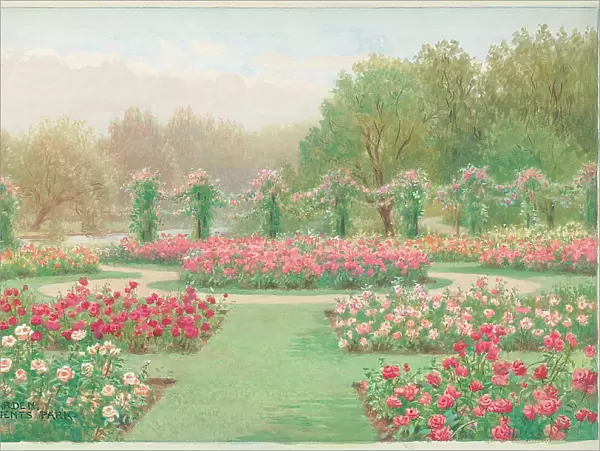 Rose Garden, Regents Park, London Parks