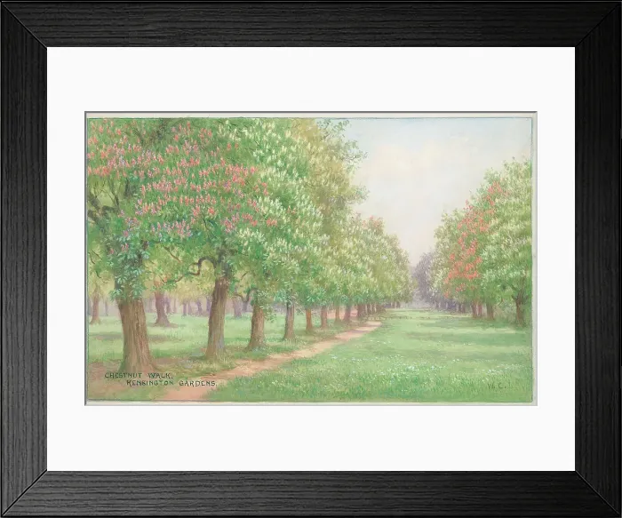 Framed Print : Chestnut Walk Kensington Gardens London Parks Framed Print : Chestnut Walk Kensington Gardens London Parks