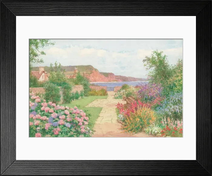 Framed Print : Camellia Walk, Connaught Gardens, Sidmouth Framed Print : Camellia Walk, Connaught Gardens, Sidmouth