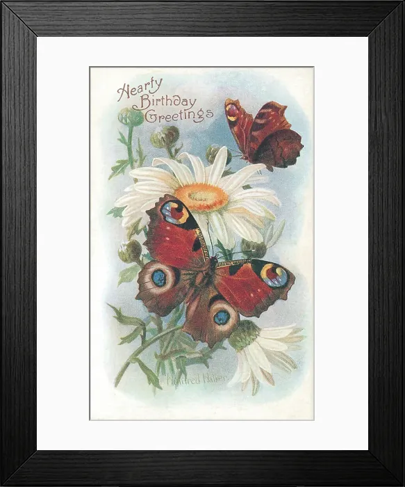 Framed Print : Birthday postcard design with butterflies and flowers Framed Print : Birthday postcard design with butterflies and flowers