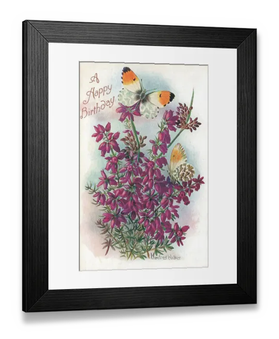 Framed Print : Birthday postcard design with butterflies and flowers Framed Print : Birthday postcard design with butterflies and flowers
