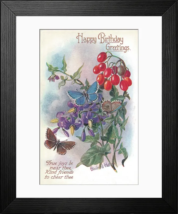 Framed Print : Birthday postcard design with butterflies Framed Print : Birthday postcard design with butterflies