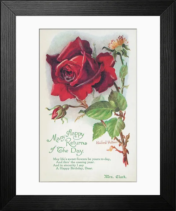 Framed Print : Birthday postcard design with rose Framed Print : Birthday postcard design with rose