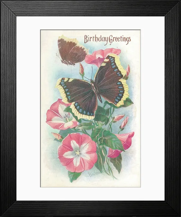 Framed Print : Birthday postcard design with butterflies and flowers Framed Print : Birthday postcard design with butterflies and flowers