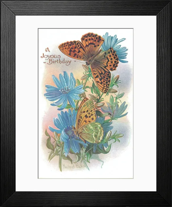 Framed Print : Birthday postcard design with butterflies and flowers Framed Print : Birthday postcard design with butterflies and flowers