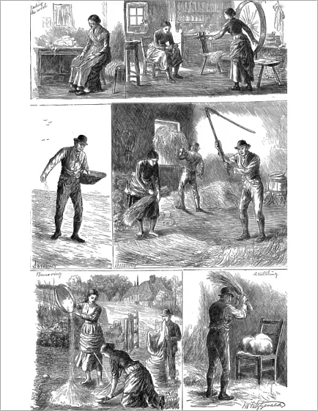 Scenes of peasant working life, Ireland