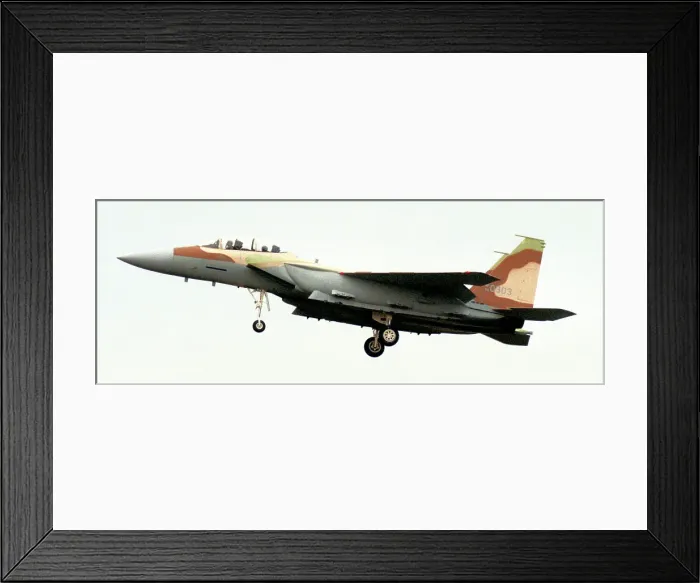 Framed Print : McDonnell Douglas F-15I Ra'am - Thunder - 94-0303 - 252 Framed Print : McDonnell Douglas F-15I Ra'am - Thunder - 94-0303 - 252