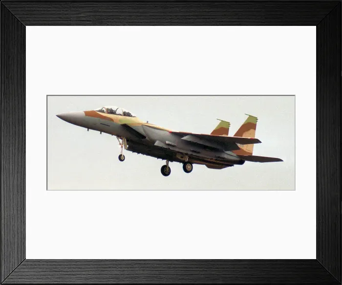 Framed Print : McDonnell Douglas F-15I Ra'am - Thunder - 94-0298 - 238 Framed Print : McDonnell Douglas F-15I Ra'am - Thunder - 94-0298 - 238