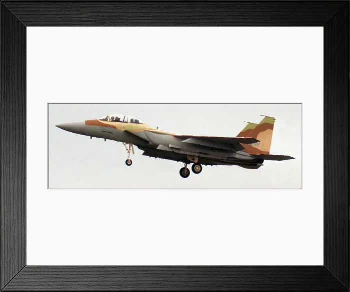 Framed Print : McDonnell Douglas F-15I Ra'am - Thunder - 94-0298 - 238 Framed Print : McDonnell Douglas F-15I Ra'am - Thunder - 94-0298 - 238