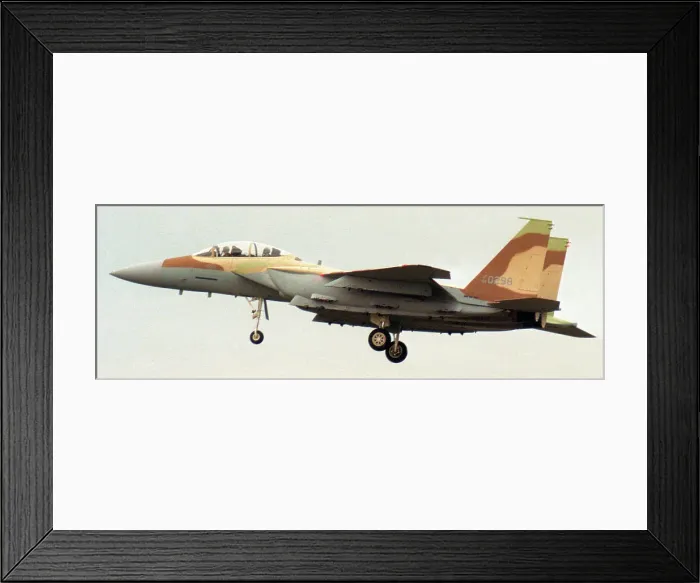 Framed Print : McDonnell Douglas F-15I Ra'am - Thunder - 94-0298 - 238 Framed Print : McDonnell Douglas F-15I Ra'am - Thunder - 94-0298 - 238
