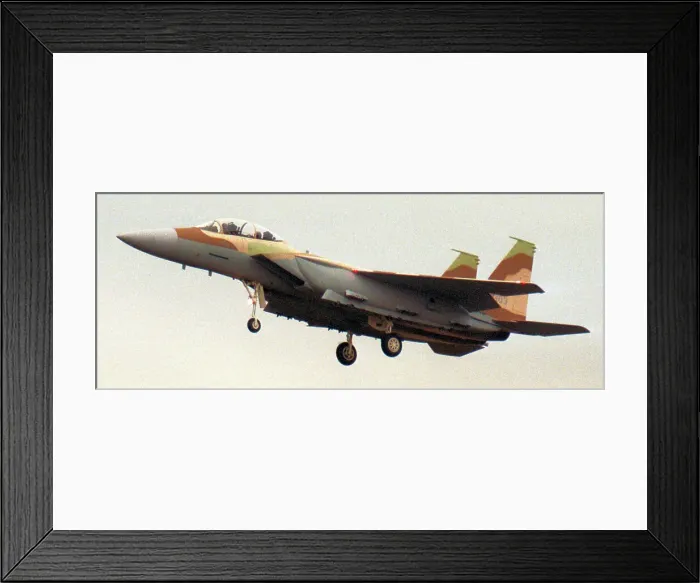 Framed Print : McDonnell Douglas F-15I Ra'am - Thunder - 94-0303 - 252 Framed Print : McDonnell Douglas F-15I Ra'am - Thunder - 94-0303 - 252