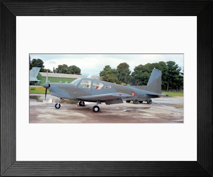 Framed Print : SIAI-Marchetti S, 208M MM61942 Framed Print : SIAI-Marchetti S, 208M MM61942