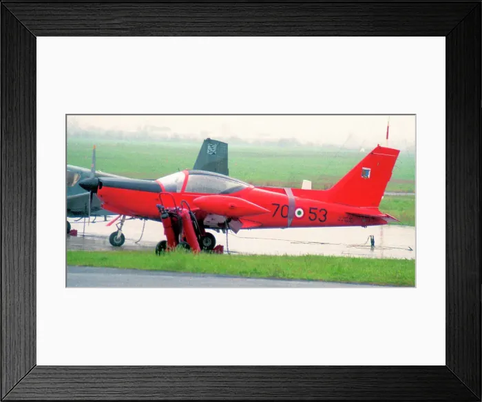 Framed Print : SIAI-Marchetti SF-260AM MM55020 - 70-53 Framed Print : SIAI-Marchetti SF-260AM MM55020 - 70-53