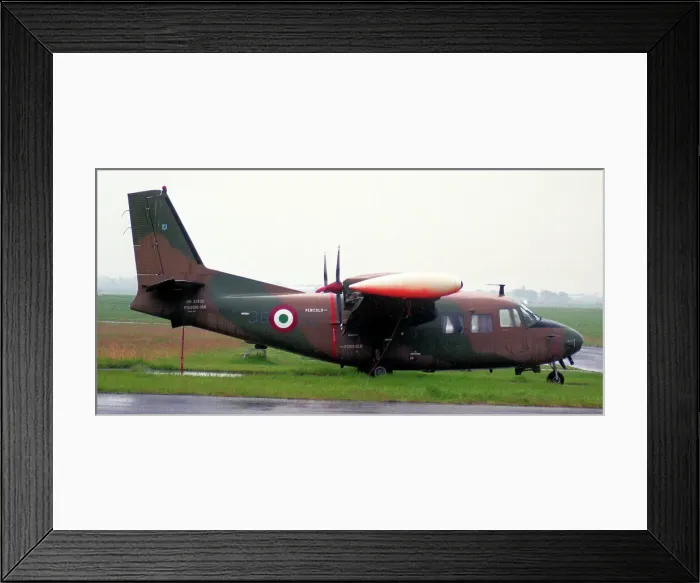 Framed Print : Piaggio P-166M MM61932 - 36-66 Framed Print : Piaggio P-166M MM61932 - 36-66