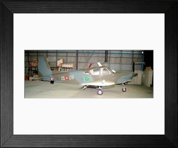Framed Print : SIAI-Marchetti S, 208M MM61940 - 15-09 Framed Print : SIAI-Marchetti S, 208M MM61940 - 15-09