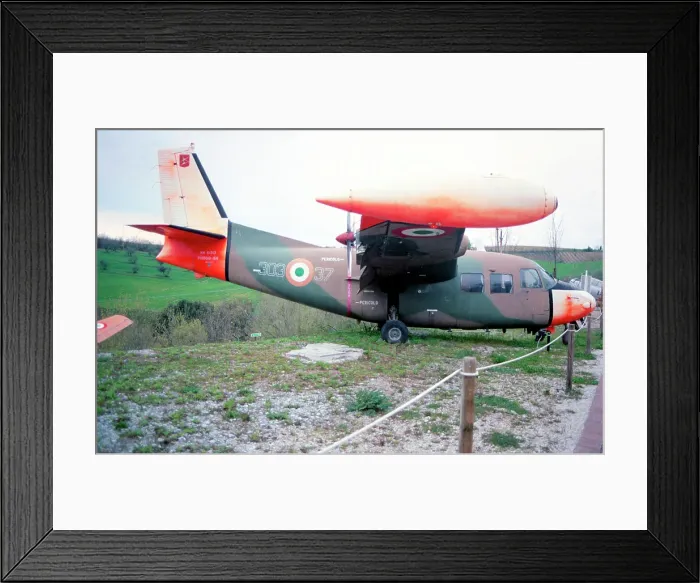 Framed Print : Piaggio P. 166 MM61913 - 303-37 Framed Print : Piaggio P. 166 MM61913 - 303-37