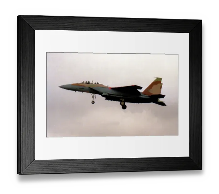Framed Print : McDonnell Douglas F-15I Ra'am Thunder 94-0303 - 263 Framed Print : McDonnell Douglas F-15I Ra'am Thunder 94-0303 - 263