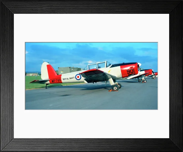 Framed Print : de Havilland Canada DHC. 1 Chipmunk T. 10 WP795 Framed Print : de Havilland Canada DHC. 1 Chipmunk T. 10 WP795