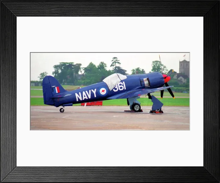 Framed Print : Hawker Sea Fury FB. 11 N36SF - 361 Framed Print : Hawker Sea Fury FB. 11 N36SF - 361