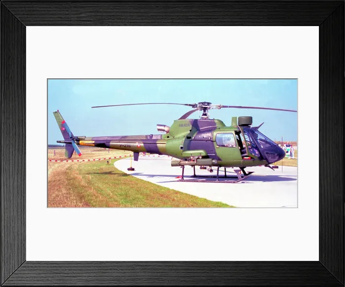 Framed Print : Aerospatiale AS550C2 Fennec P-276 Framed Print : Aerospatiale AS550C2 Fennec P-276