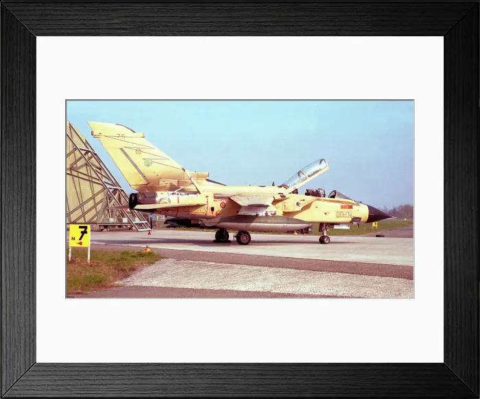 Framed Print : Sikorsky SH-3D Sea King MM5014N - 6-11
