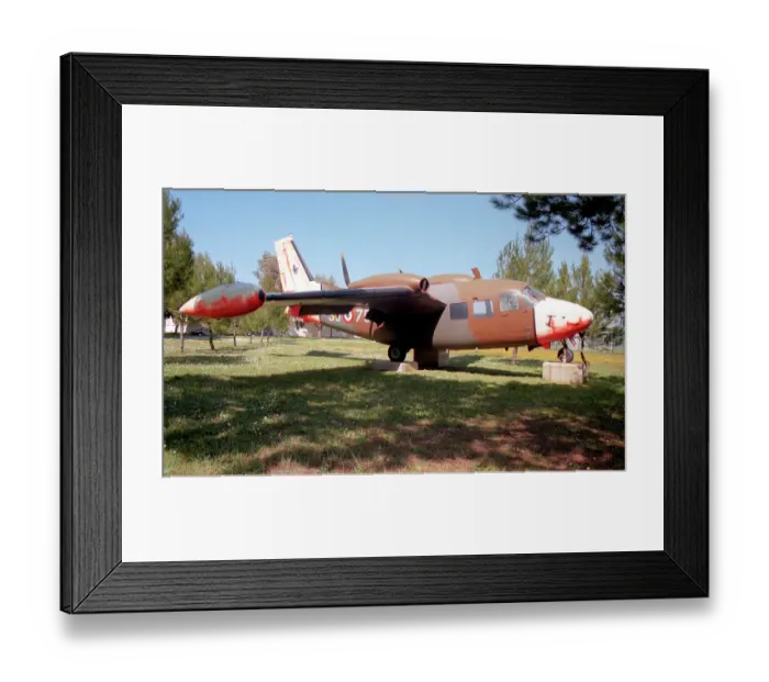 Framed Print : Piaggio P-166M Albatross MM61879 - 36-75 Framed Print : Piaggio P-166M Albatross MM61879 - 36-75