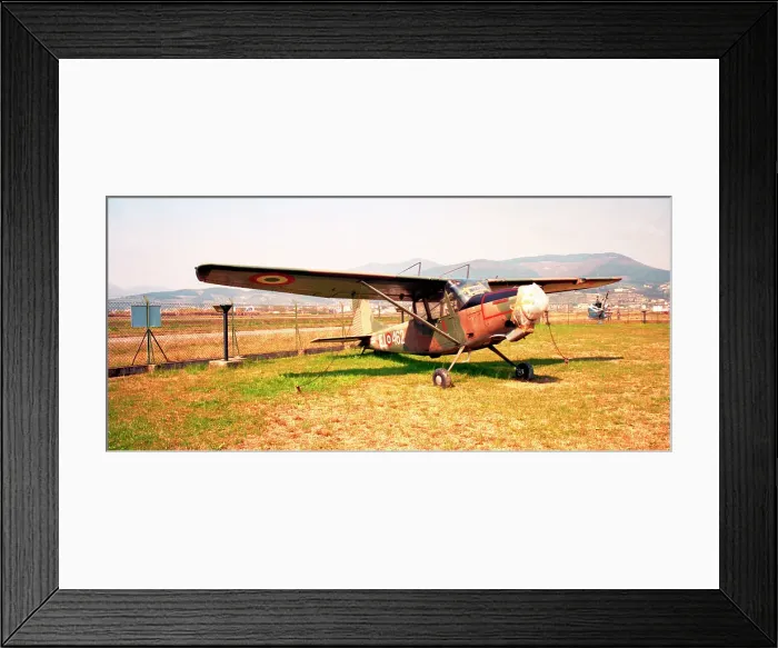 Framed Print : SIAI-Marchetti SM. 1019 MM57255 - E. I. 462