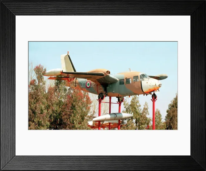 Framed Print : Piaggio P-166M MM61876 - 303-32 Framed Print : Piaggio P-166M MM61876 - 303-32