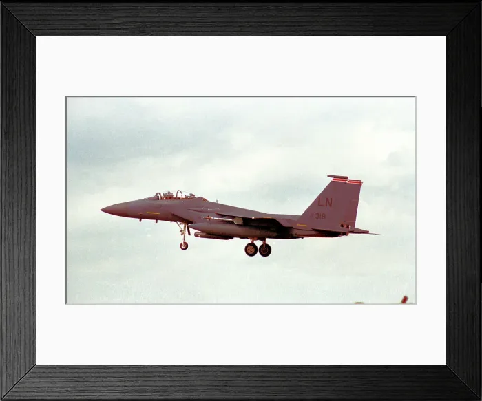 Framed Print : McDonnell Douglas F-15E Strike Eagle 91-0318 Framed Print : McDonnell Douglas F-15E Strike Eagle 91-0318