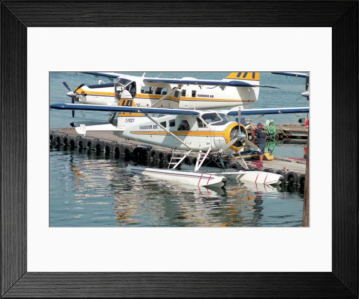 Framed Print : DHC-2 Beaver C-FOCY - 204 Framed Print : DHC-2 Beaver C-FOCY - 204