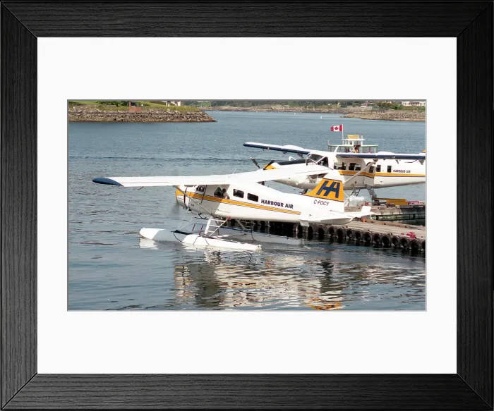 Framed Print : DHC-2 Beaver C-FOCY - 204 Framed Print : DHC-2 Beaver C-FOCY - 204