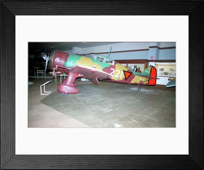 Framed Print : Fokker D. XXI replica 221 Framed Print : Fokker D. XXI replica 221