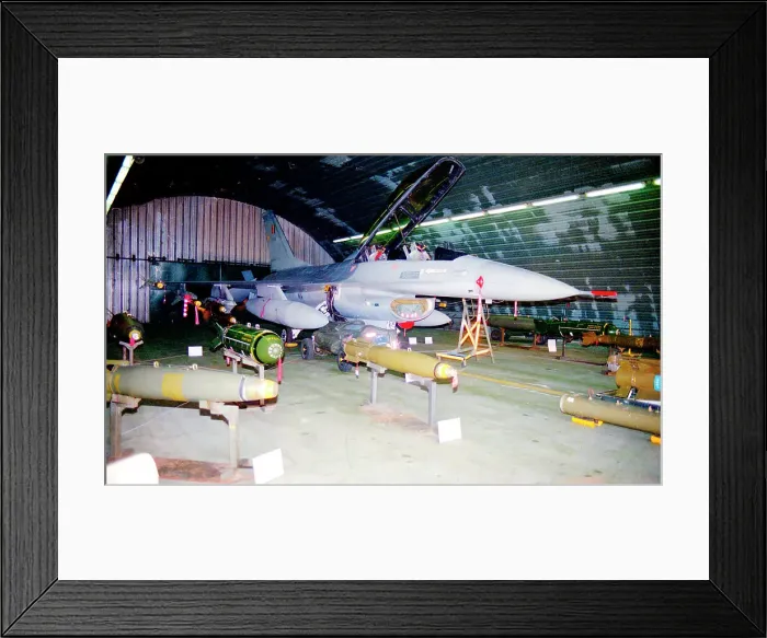 Framed Print : General Dynamics F-16AM Fighting Falcon FA31 Framed Print : General Dynamics F-16AM Fighting Falcon FA31