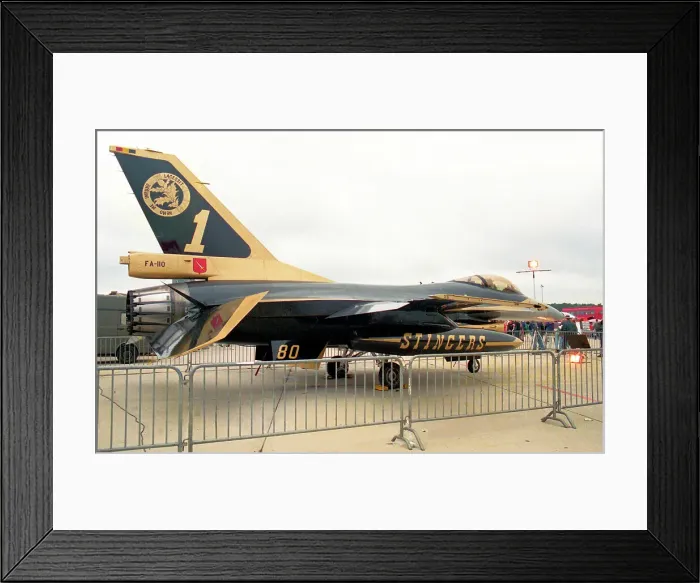 Framed Print : General Dynamics F-16AM Fighting Falcon FA110 Framed Print : General Dynamics F-16AM Fighting Falcon FA110